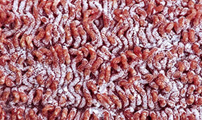 Frozen Minced Meat Artwork